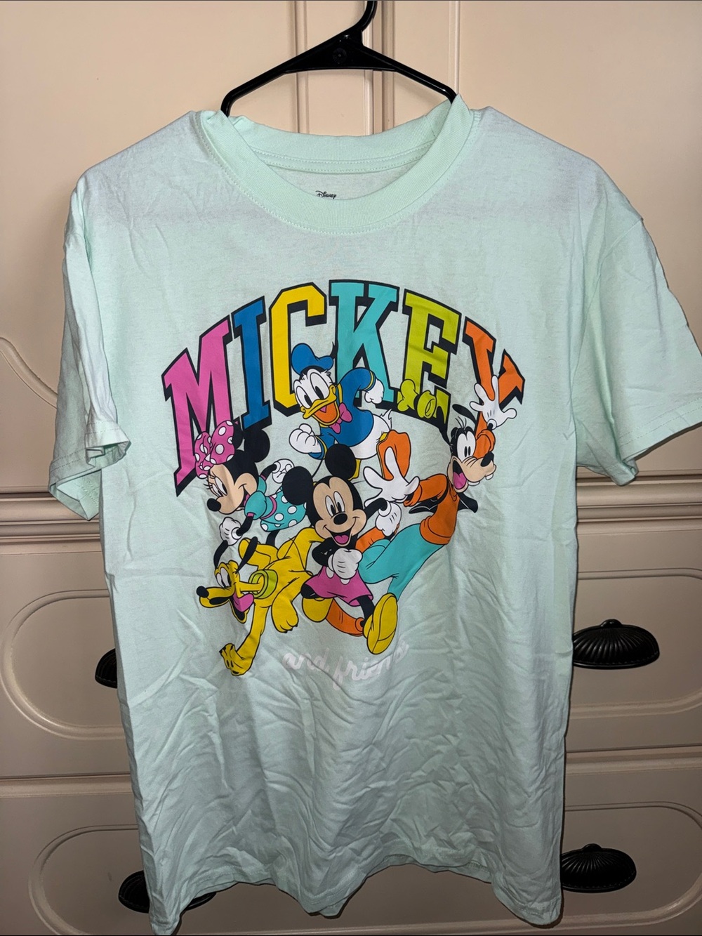 Disney Mint Green Mickey & Friends Short Sleeve Tee with Multicolor Graphic